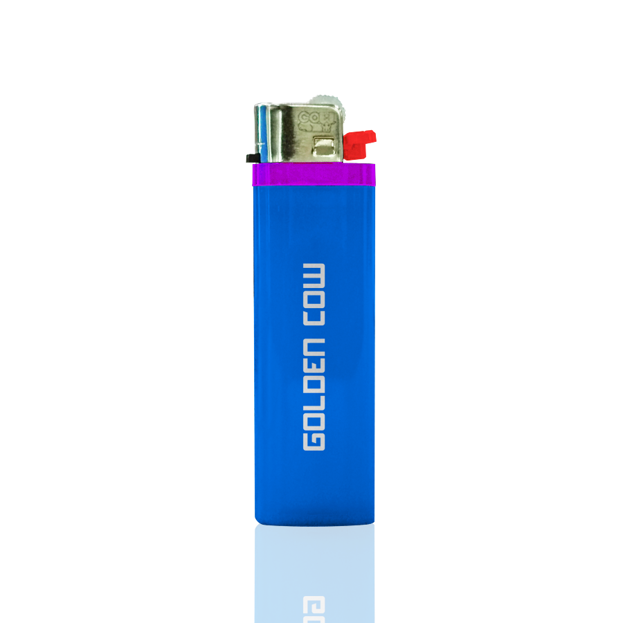 Disposable Flint Gas Lighter V1